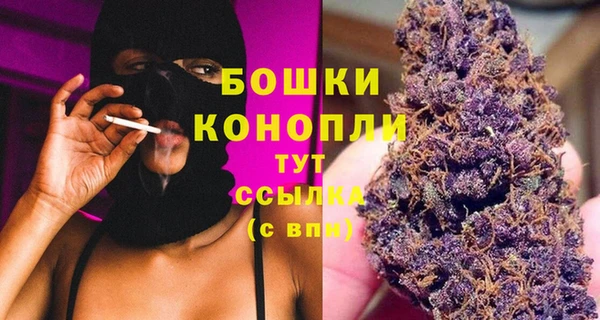 прущая мука Вяземский