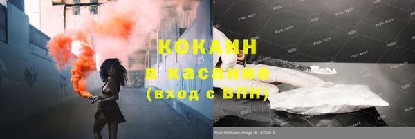 индика Волосово
