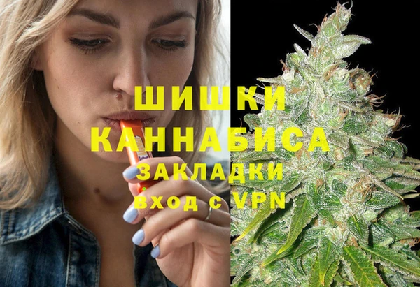 индика Волосово