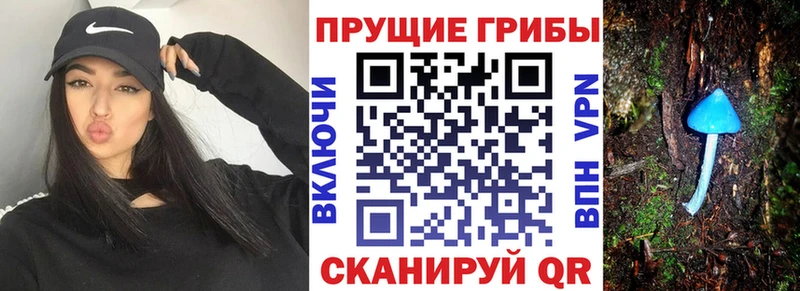 Псилоцибиновые грибы Psilocybe  Заозёрный 